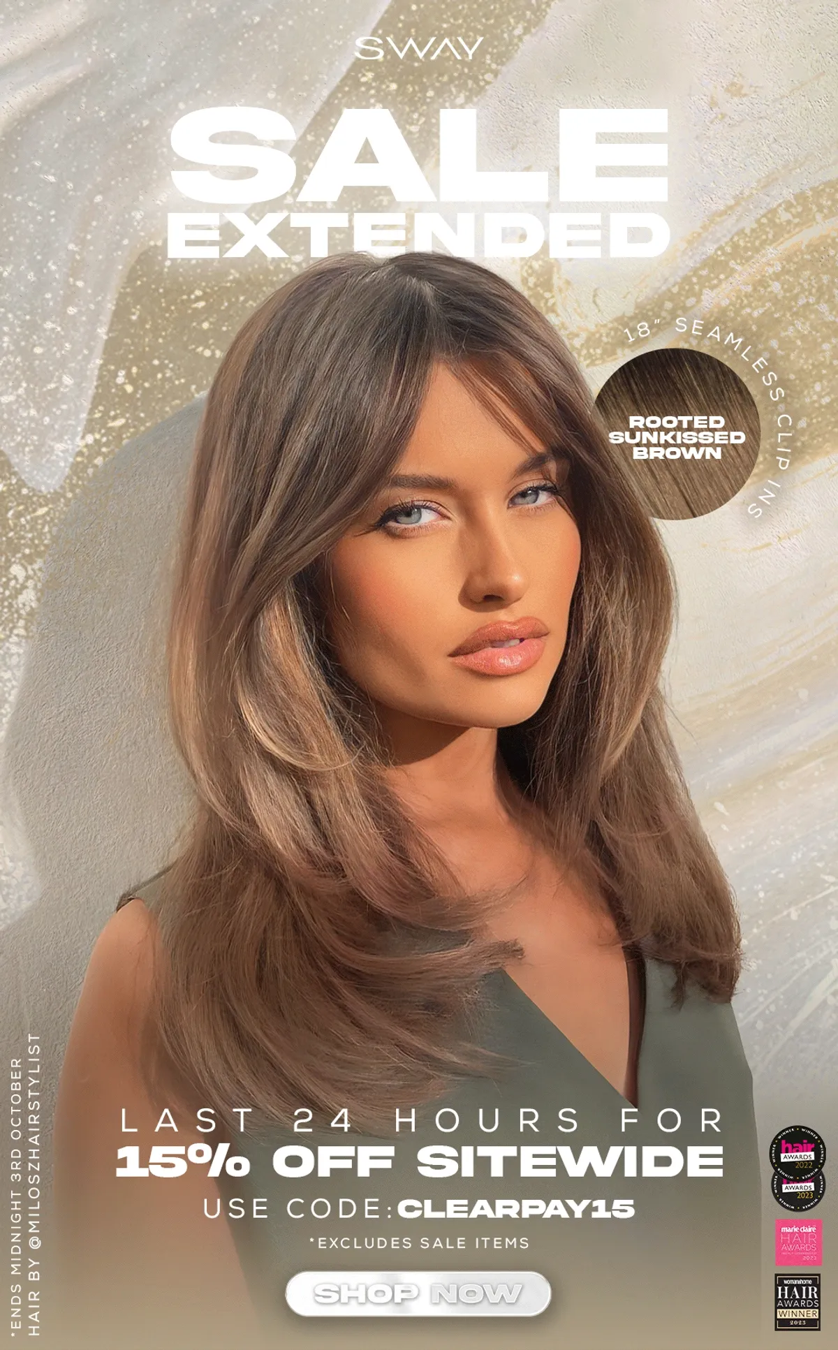 Sway Project Animation 2