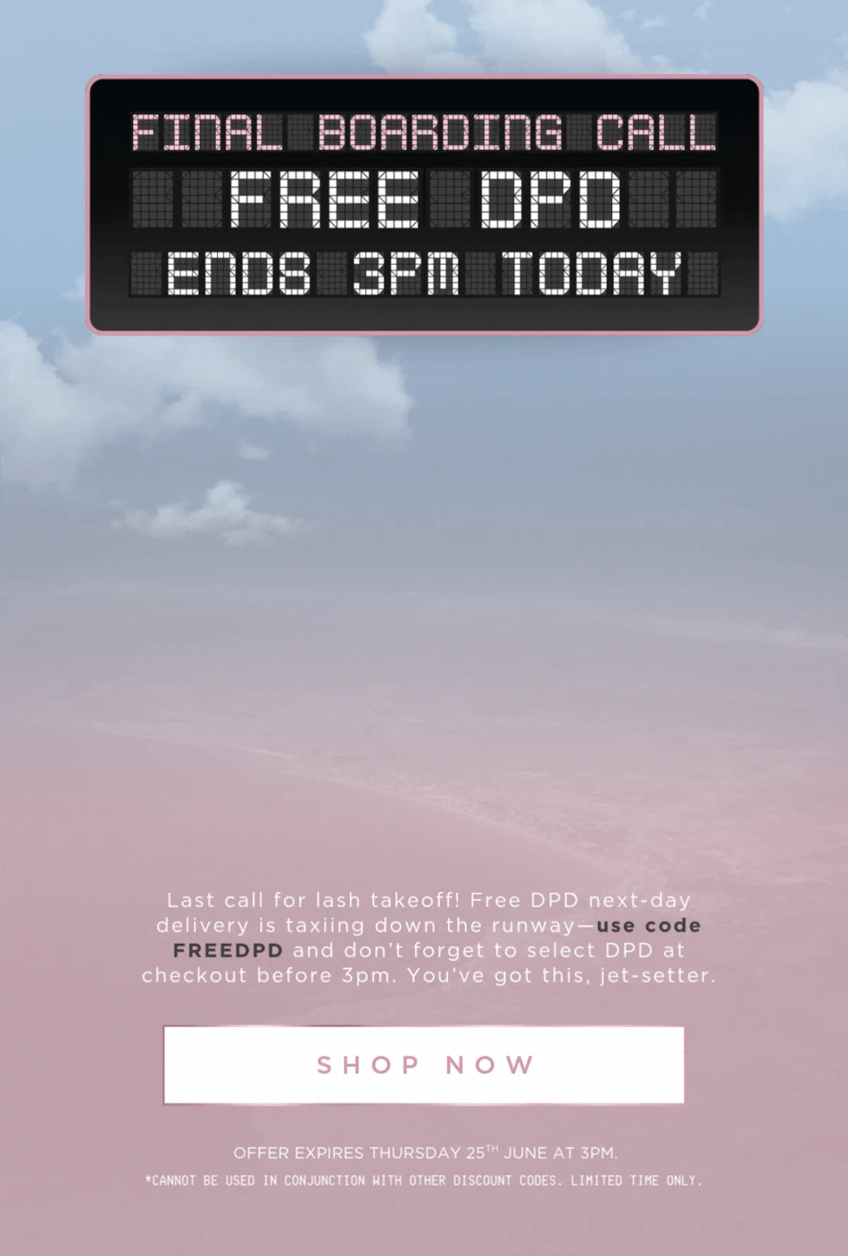 Lola's Lashes Email Design 4